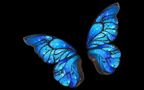 梦幻蝴蝶唯美高清桌面壁纸