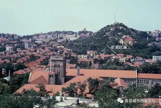 今天编发的这一组老照片更显珍贵,那些凝固时光的印记,让思绪瞬间