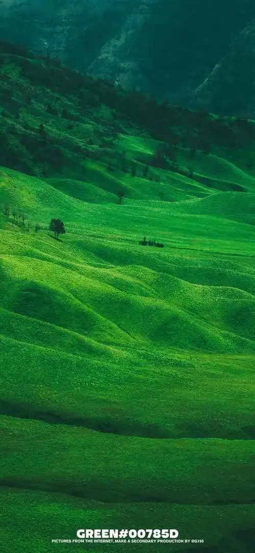 精选清新养眼的手机壁纸春天是绿色的专场