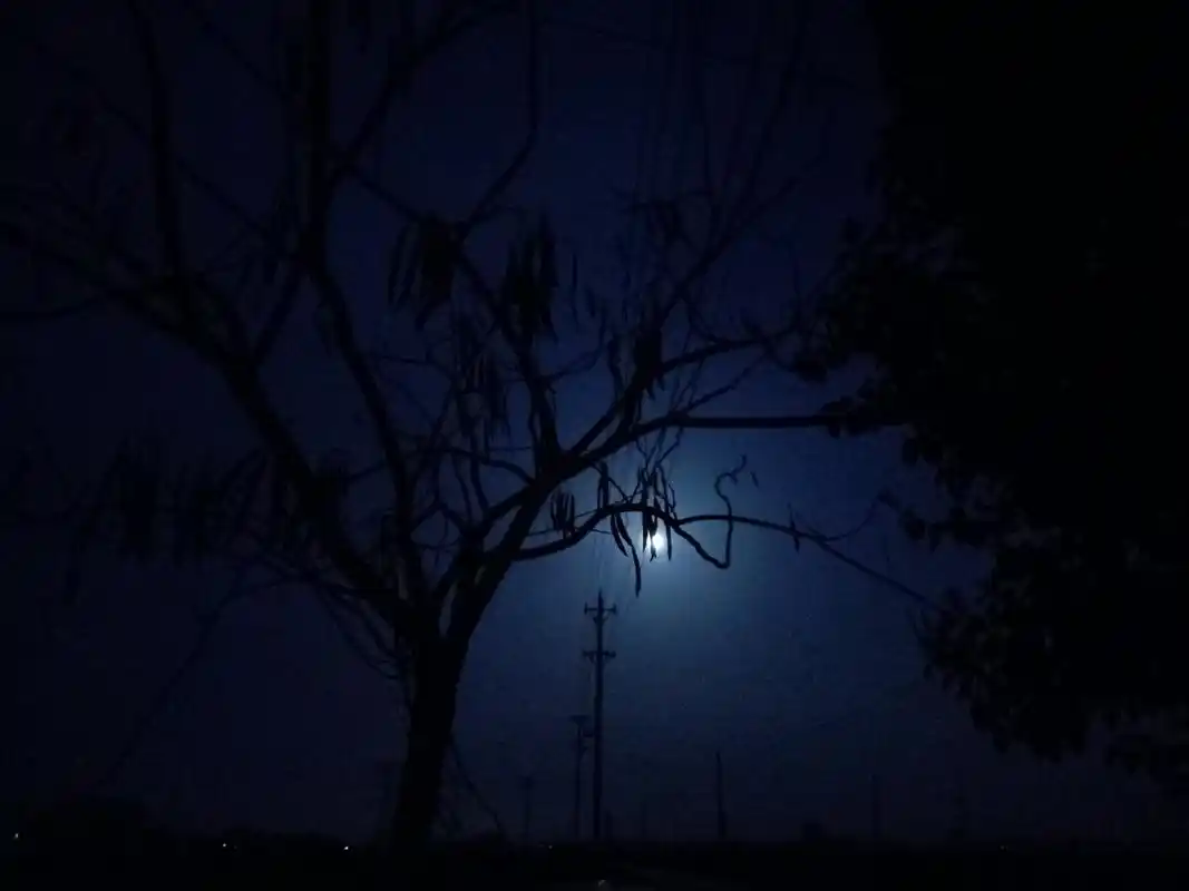 农村的夕阳,霞光印满了半边天,更真实,更富有情调农村的一种花,不知道