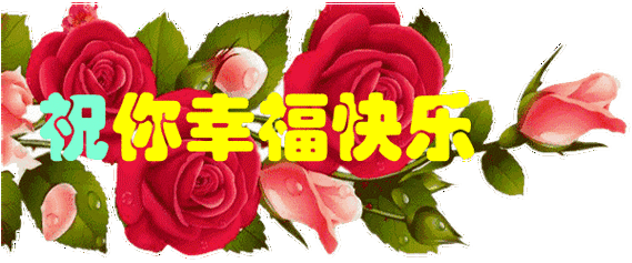 600_250gif 动态图 动图