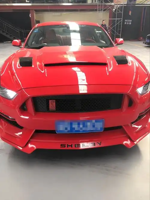 车标mustang改装谢尔比眼镜蛇前后车标 gt350国产银色色蝰蛇标【图片
