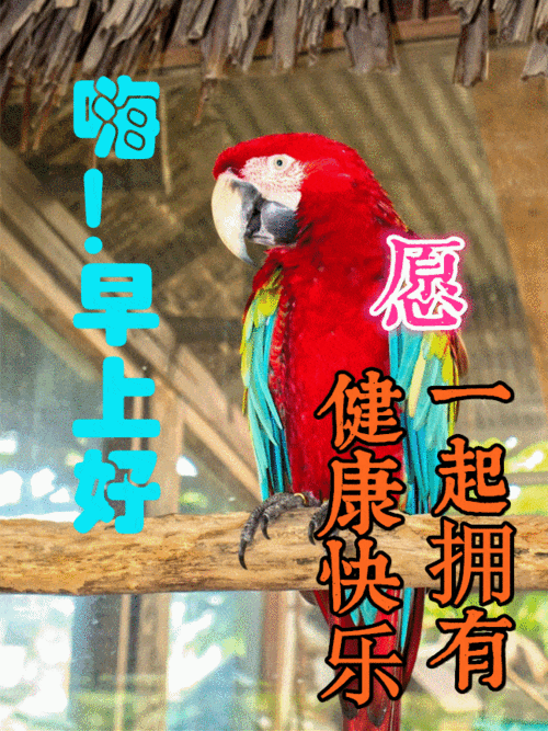 2021早上好动态表情图片大全早晨好美图大全