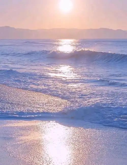 大海沙滩清新聊天背景,大海沙滩背景图片(愿你乘风破浪,扬帆远航)
