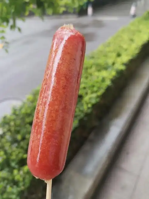 5元一根的烤肠 - 知乎