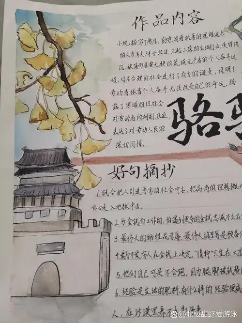 《骆驼祥子》手抄报