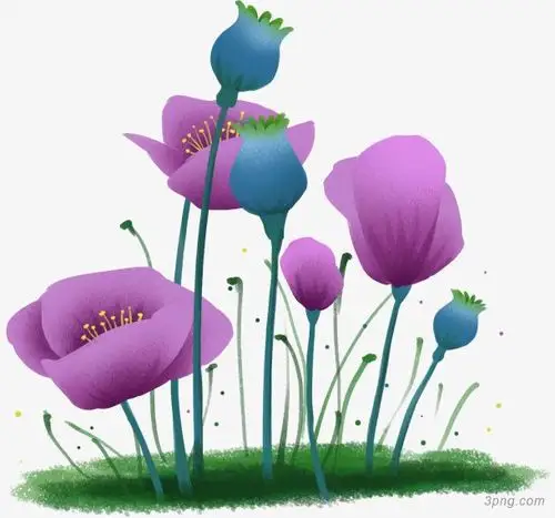 卡通紫色罂粟png素材透明免抠图片-动植人物