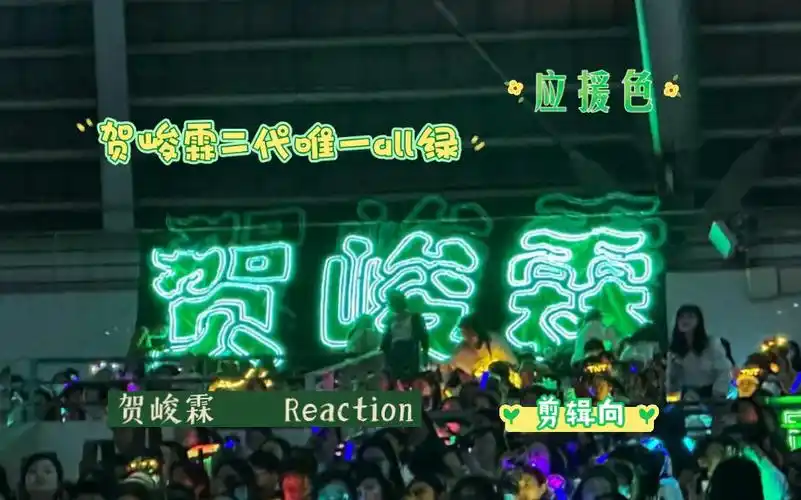 【贺峻霖 reaction】关于应援色的视频!