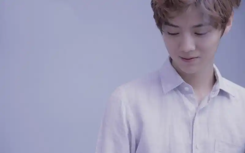 安卓(android)鹿晗 甜蜜蜜 宽屏高清手机壁纸免费下载,安心市场-用