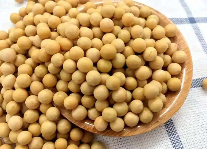 售粮进度放缓,玉米价格存在进一步向下调整的可能