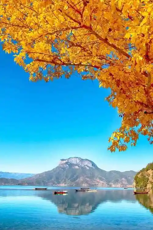 853_1280竖版 竖屏