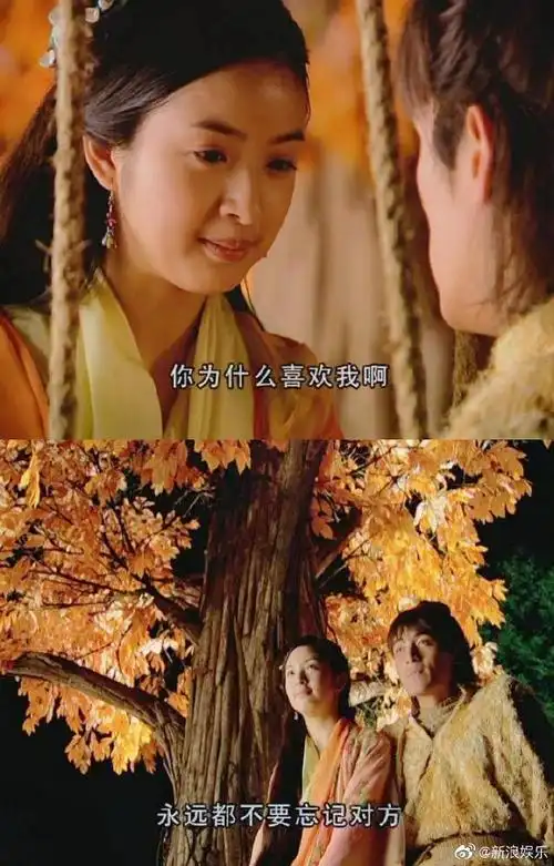 八戒》《步步惊心》《金粉世家》《至尊红颜》《天地传说之鱼美人》