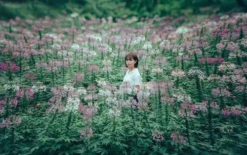 清纯女孩壁纸8 - 1680x1050 壁纸下载 - 清纯女孩壁纸 - 人物壁纸