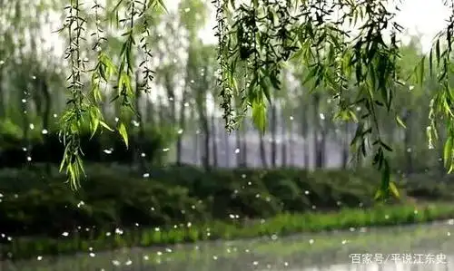 柳絮,顽皮的小精灵