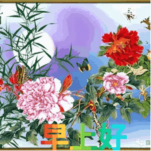 早上好图片大全早上好问候语动态表情图