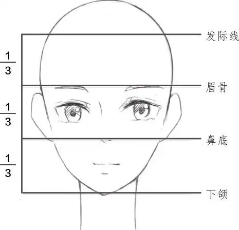 鼻子的位置          要想找准鼻子的位置,就要知道三庭五眼