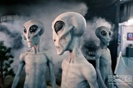 外星人存在铁证曝光 真实面目浮出水面_【未解之谜网】