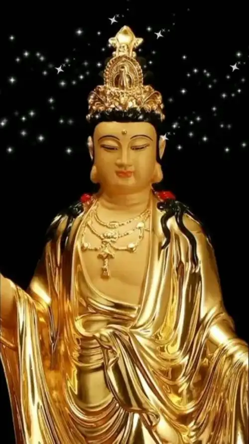 感恩大众信任支持05 感恩所有一切遇见05 南无阿弥陀佛05