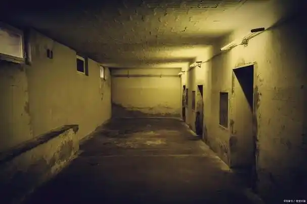 一个孤儿院,传闻里面有幽灵孩子的声音,谁敢前去调查?