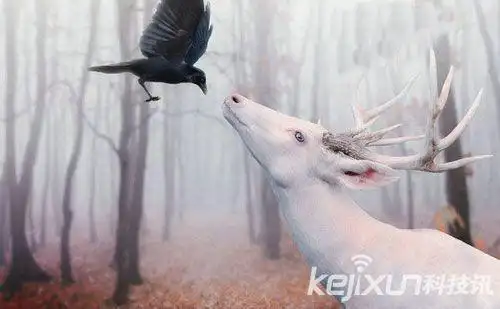 动物界十大基因突变生物盘点 独角兽真实存在?