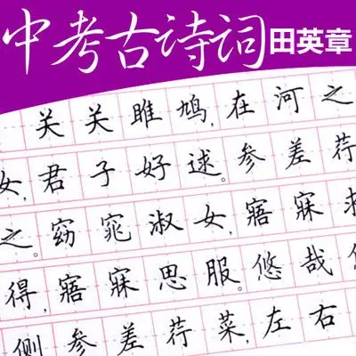 衡水体中文语文初中生高中生字帖田英章基础汉字楷书钢笔硬笔练字
