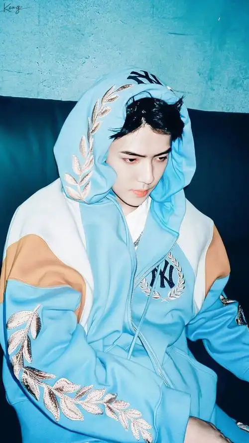 exo吴世勋壁纸明星