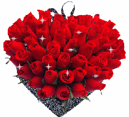 专题频道 综合图库   玫瑰花,代表爱情,代表火热.