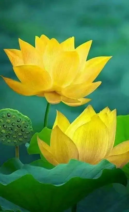 过去的,不要留恋.太多从前遥远不可触摸.