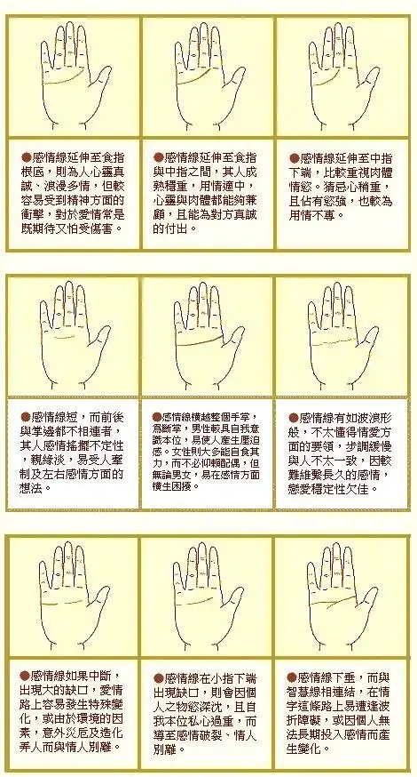 男人手相图解