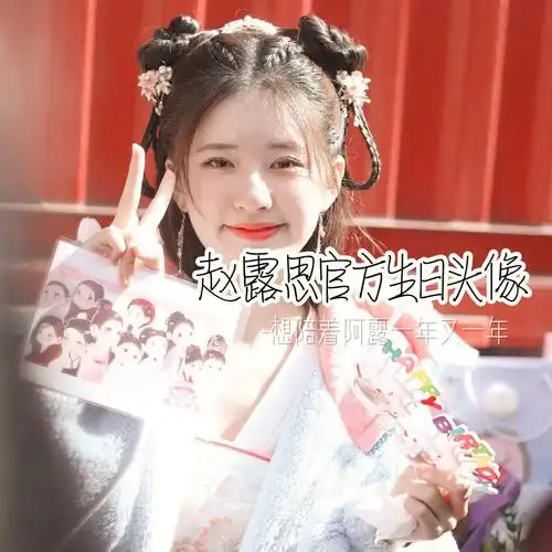 赵露思官方生日头像