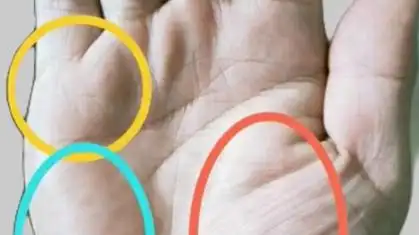 手掌中的三星丘饱满