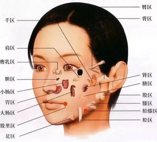玄易通.古经络养生
