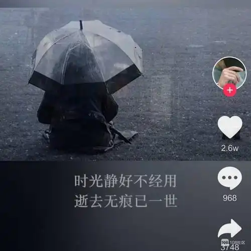 我们从此是最熟悉的陌生