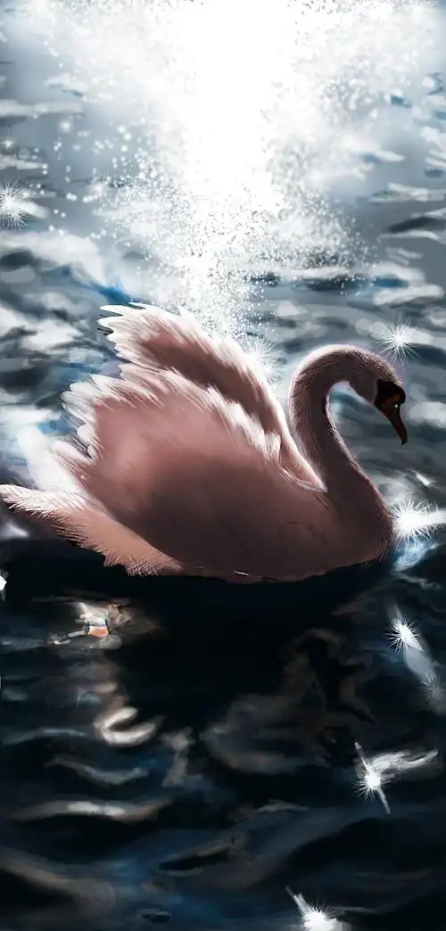 粉红天鹅|插画|创作习作|蛐蛐萨玛 - 临摹作品 - 站酷 (zcool)