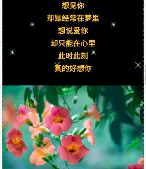 亲爱的我还在等你念你脑海里都是你想你想的睡不着