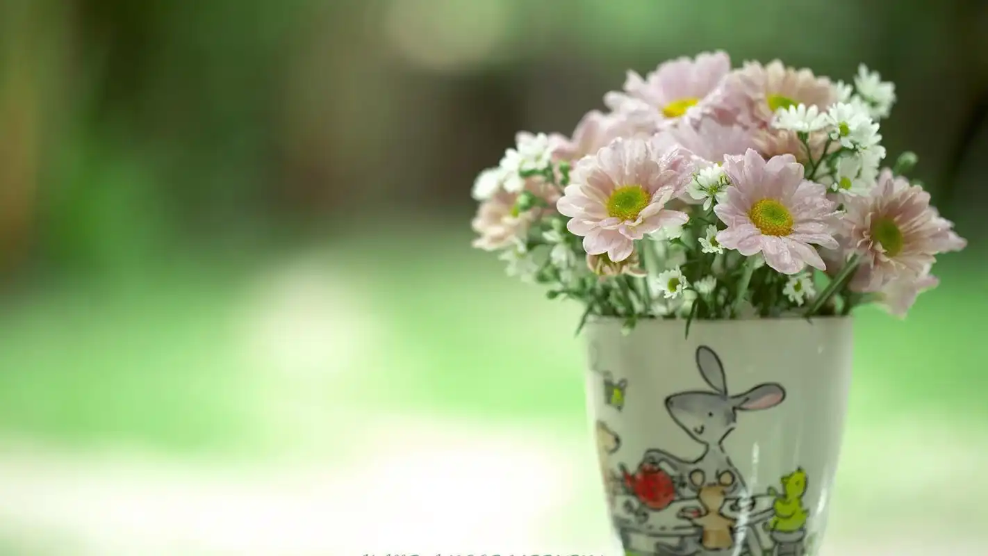 静物小清新风景护眼壁纸