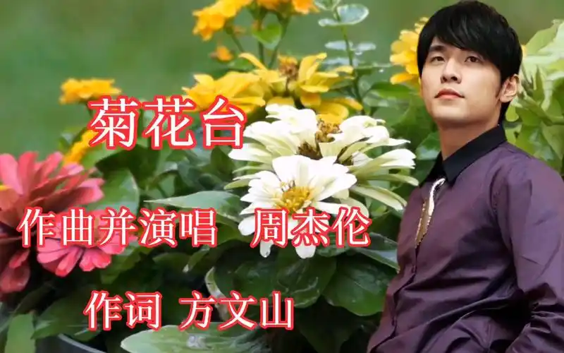 周杰伦演唱《菊花台》经典回忆 凄婉动听