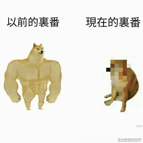 cheems)走红了网络,那只肌肉柴犬(swole doge或称buff doge)明鲜乔