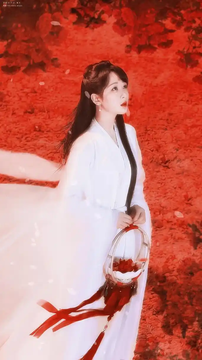 长相思# 听说人间的凤凰花开两季,一季缘来,一季缘散