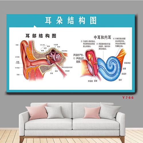 耳朵结构图宣传海报耳部解剖图示意图助听器种类挂图听力损失分级