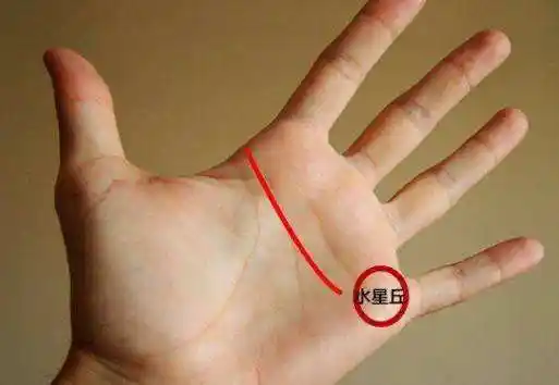 三丘饱满的女孩,命好,桃花旺,看看是你吗?_女性_地方_金星