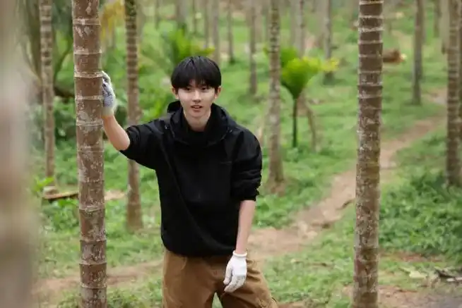 马嘉祺这是我的岛