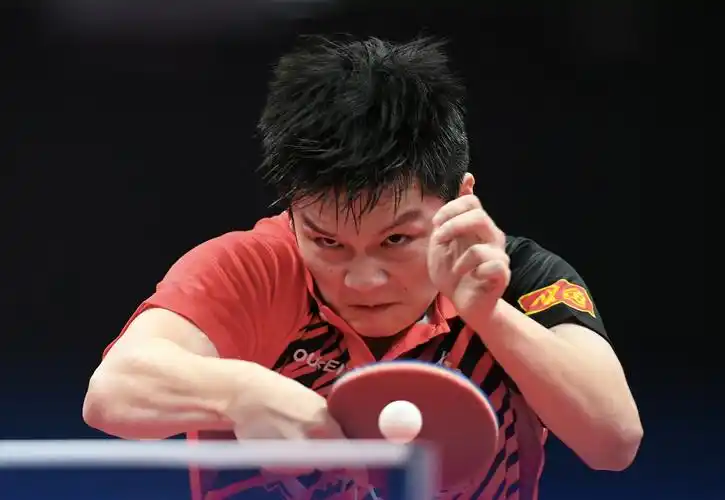 从小胖变成东哥樊振东未来还想继续冲