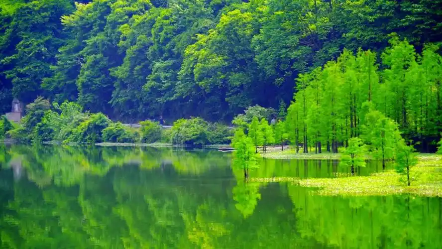 绿水青山果真是金山银山