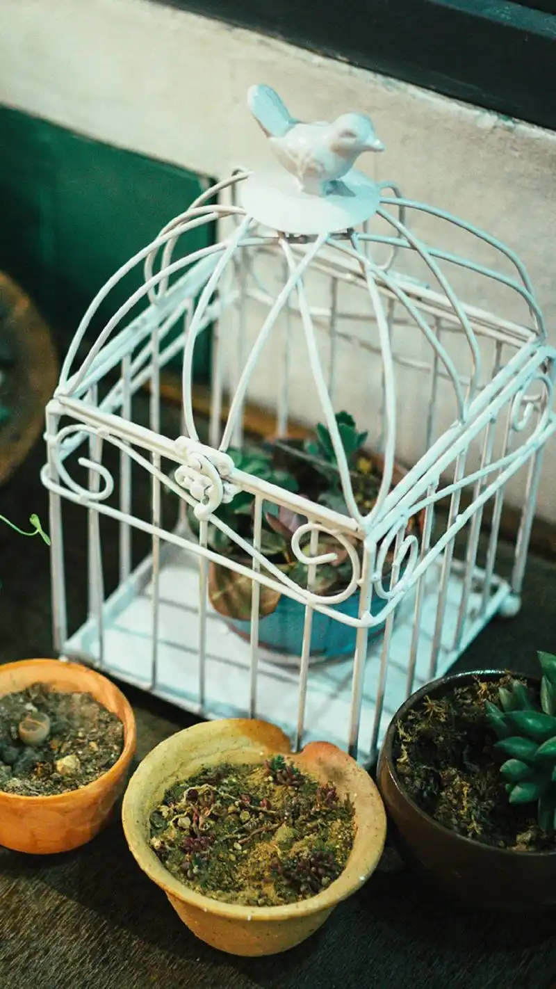 文艺清新居家静物高清图片手机壁纸