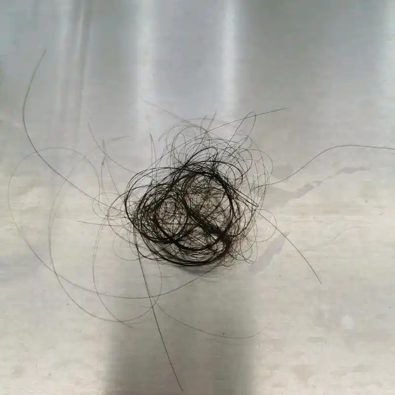 今天去理发店剪头发 这是洗头小哥哥给我理出来的掉的头发 这两天没有