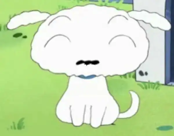 蜡笔小新的小白真狗版