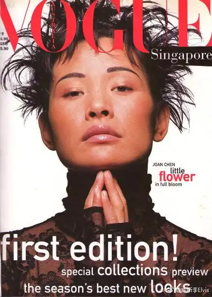 其实中国女明星在国际时尚杂志的封面也不少哦,章子怡