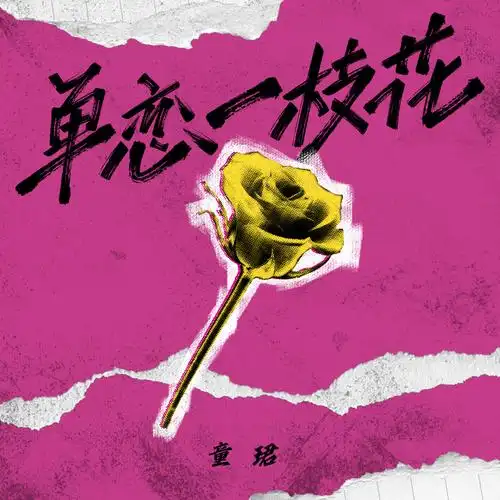 单恋一枝花