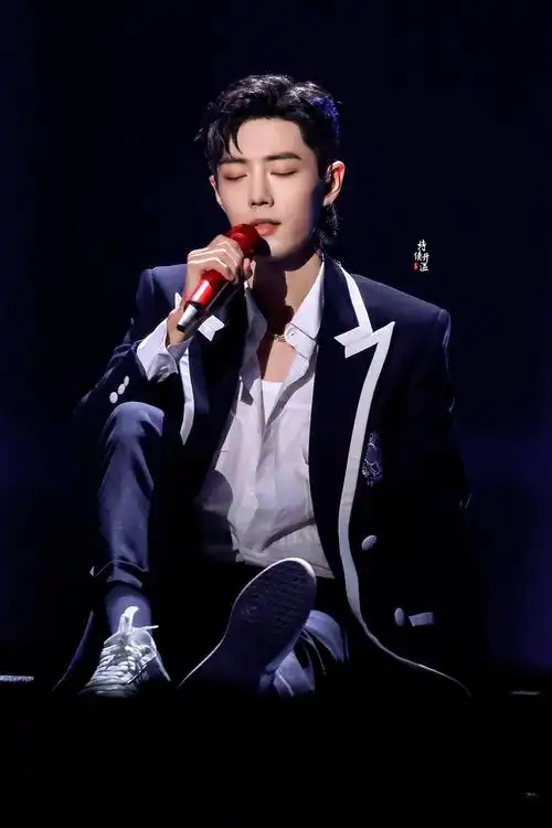 肖战沸腾之夜 cr各大站姐